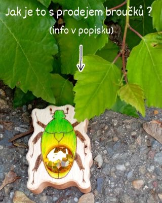 Vzhledem k dotazům, které mi chodí do zpráv bych vám ráda doplnila bližší info ohledně výroby a prodeje broučků. S nápadem...